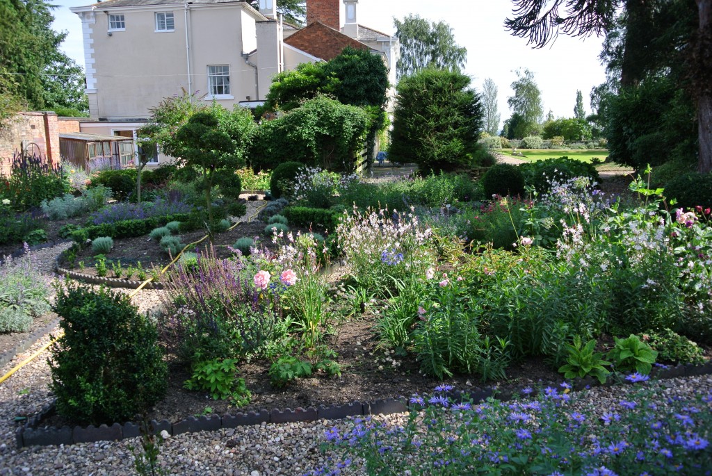 Warwickshire garden 4 months after planting