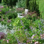 Mixed Border in June