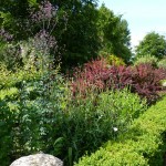 Wiltshire Garden