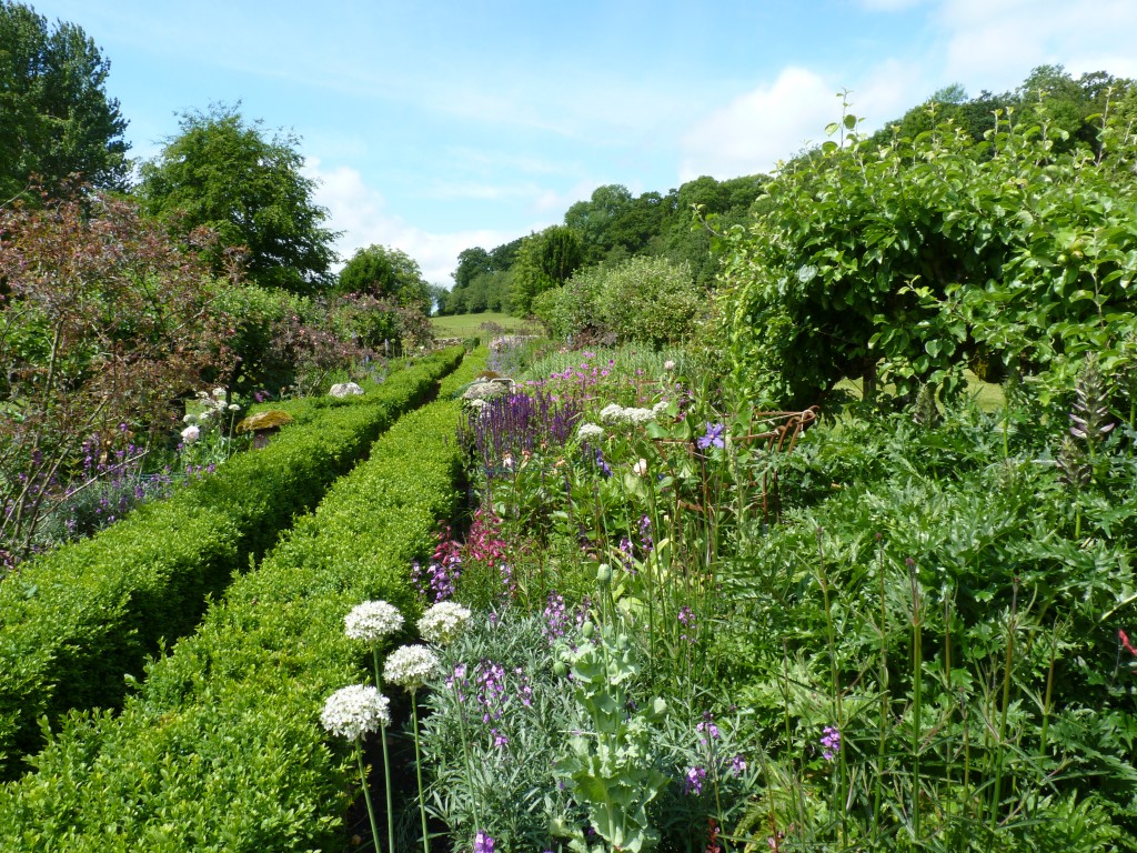 Double Herbaceous Borders